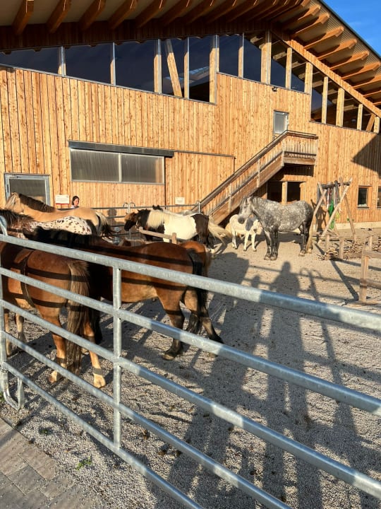 Sport & Freizeit Die Seitenalm