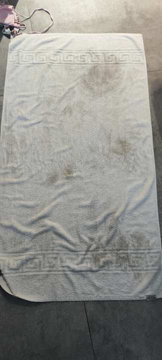 Zimmer Apartments Evalia