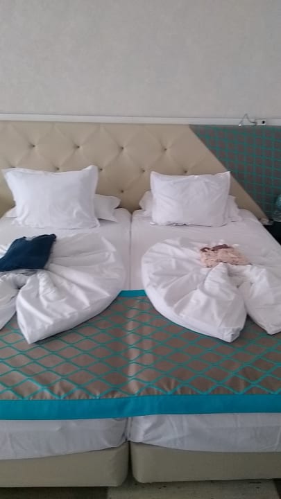 Zimmer Sentido Marea