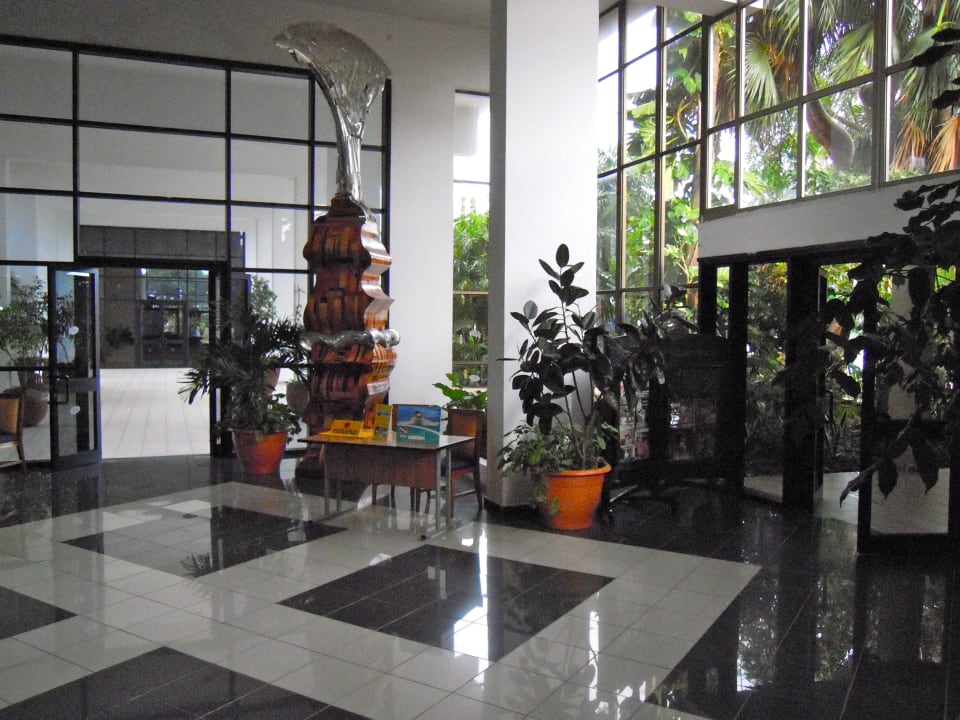 Hell und freundlich Hotel Jagua Affiliated by Meliá