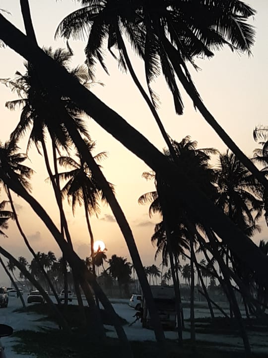 Gartenanlage Salalah Rotana Resort