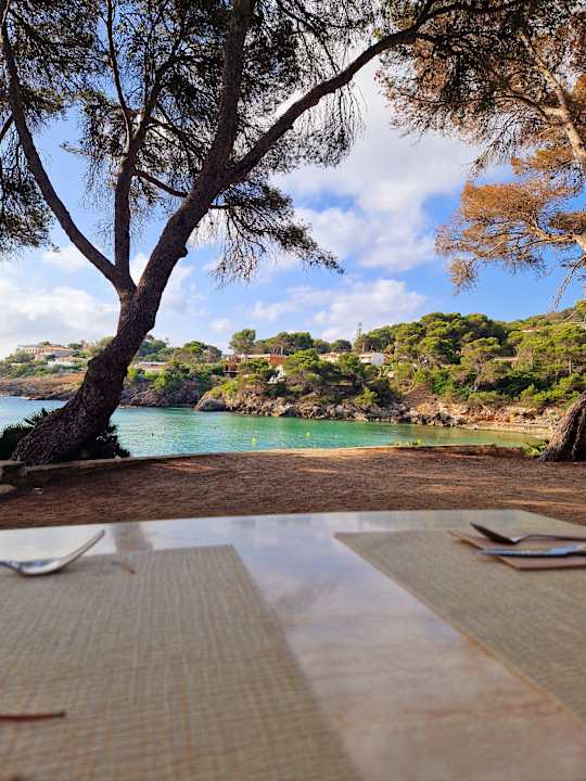 Gastro Iberostar Waves Pinos Park