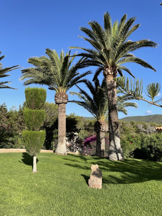 Gartenanlage Sentido Cala Verde