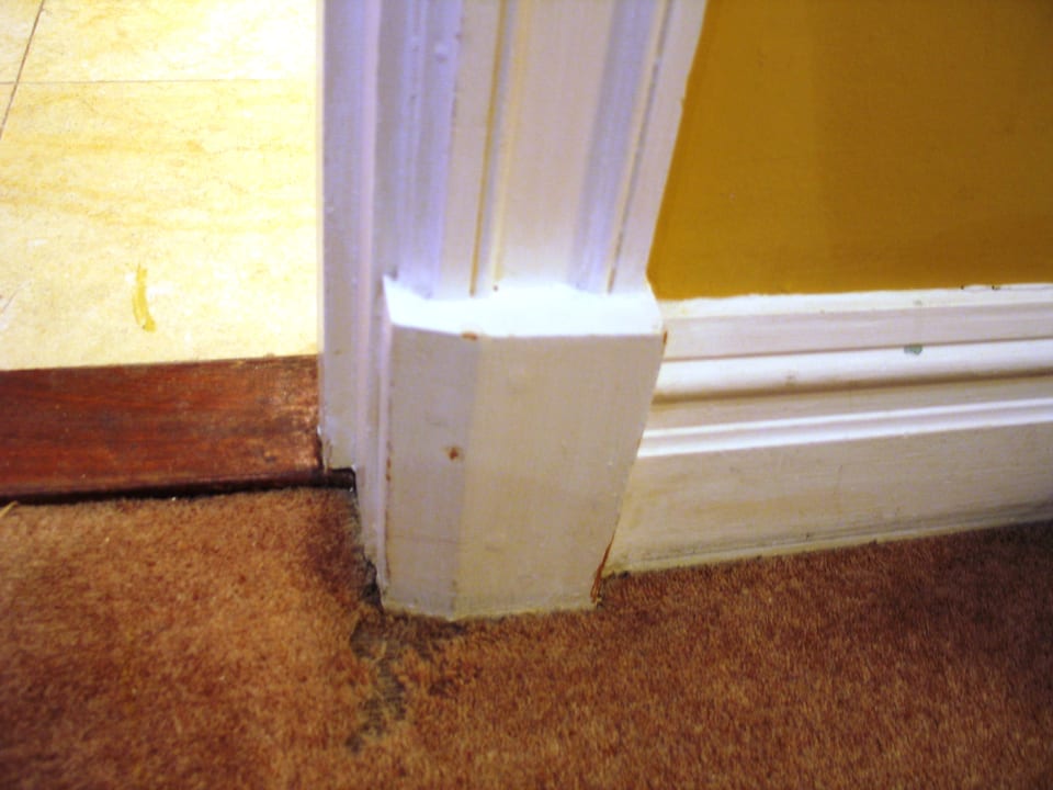 Zimmer Hotel The Cranley