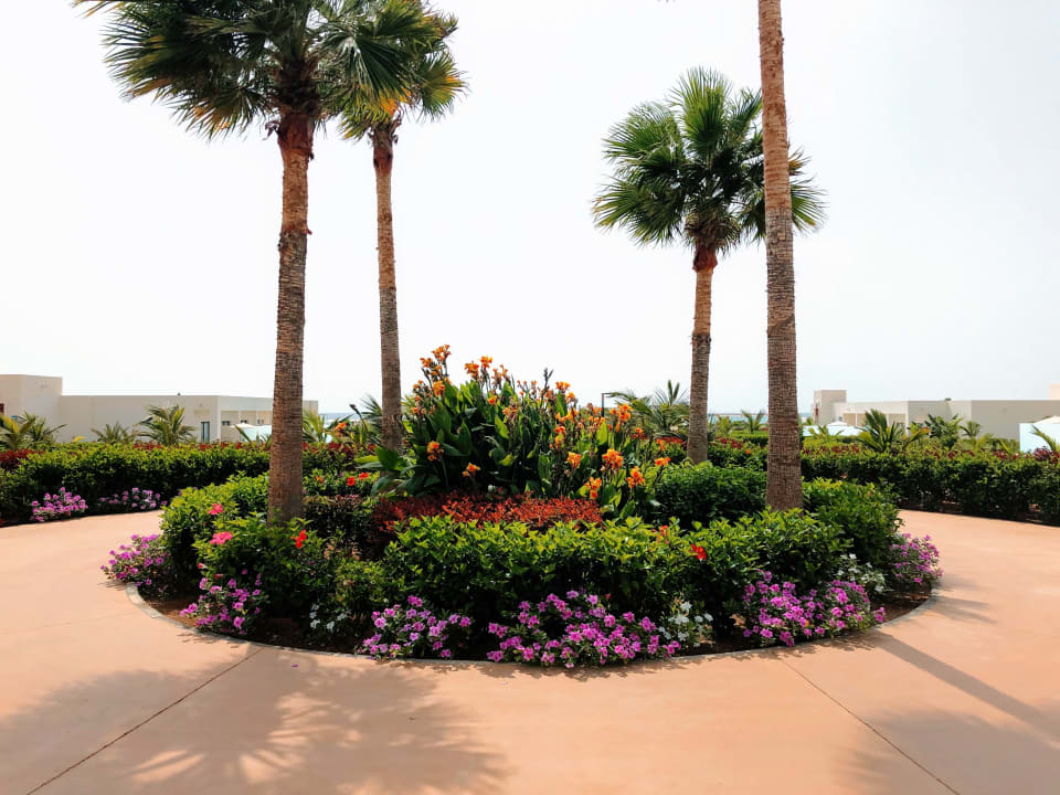 Gartenanlage Hotel Riu Palace Boavista