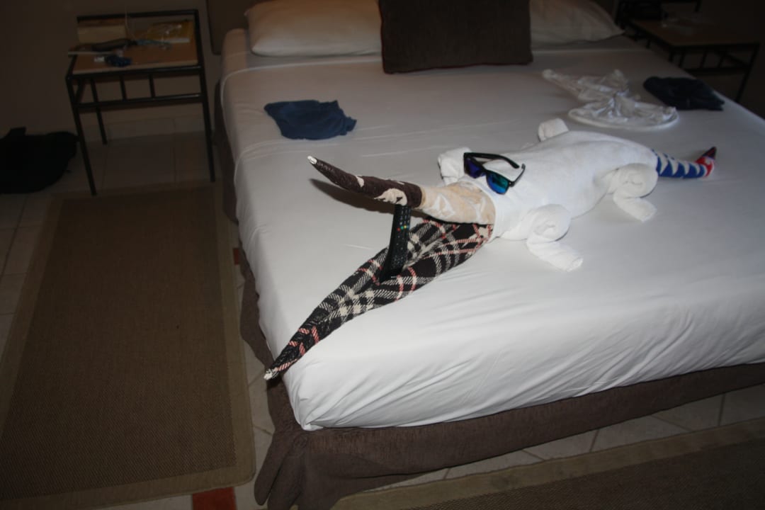 Zimmer Jaz Makadi Oasis Resort