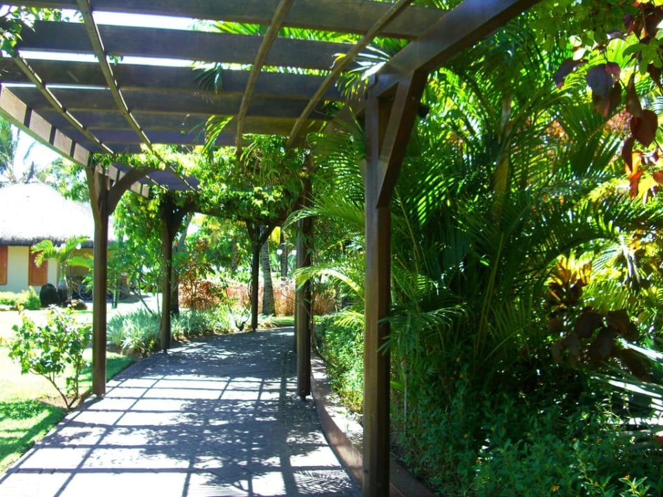 Garten Le Meridien Ile Maurice