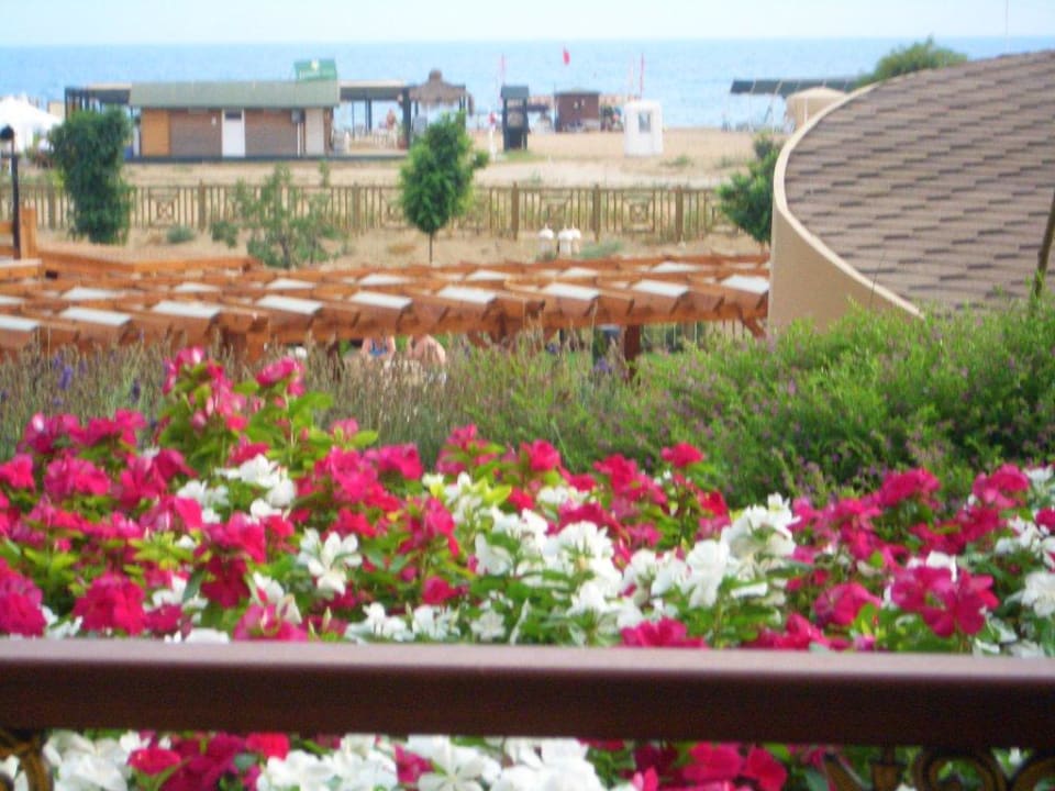 Zimmerausblick  Diamond Excellence Resort & Spa