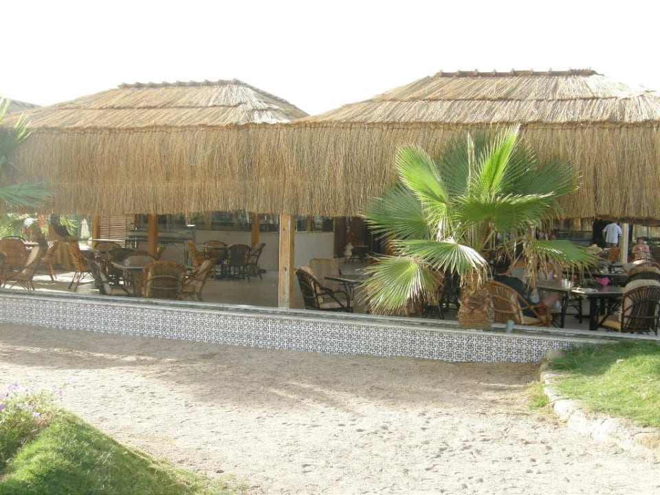 Bar przy plaży Pickalbatros Royal Moderna Resort-Sharm El Sheikh