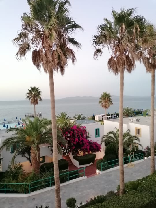 Ausblick Mastichari Bay Hotel