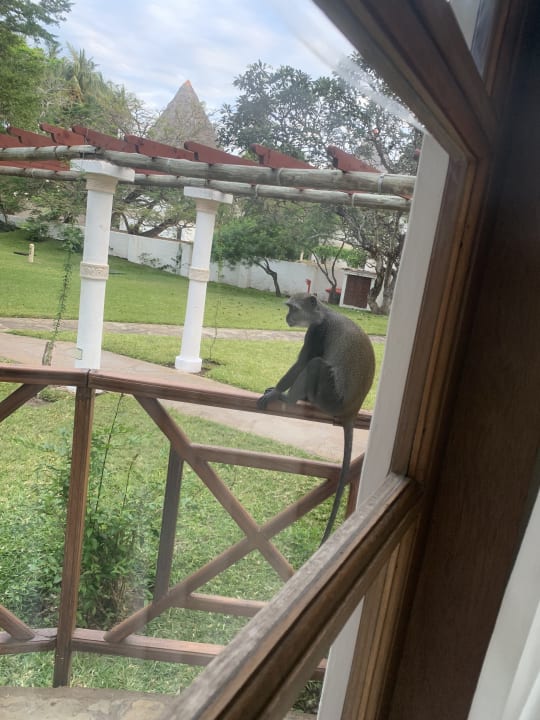 Ausblick Neptune Village Beach Resort & Spa