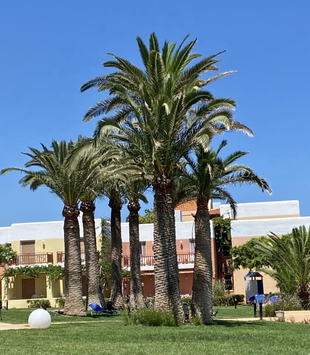 Gartenanlage Anissa Beach & Village