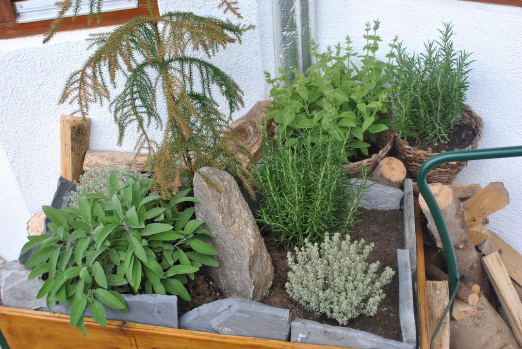 Kräuterwagerl Hotel Ländenhof