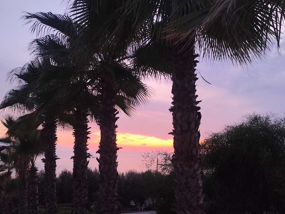 Strand allsun Numa Club Side