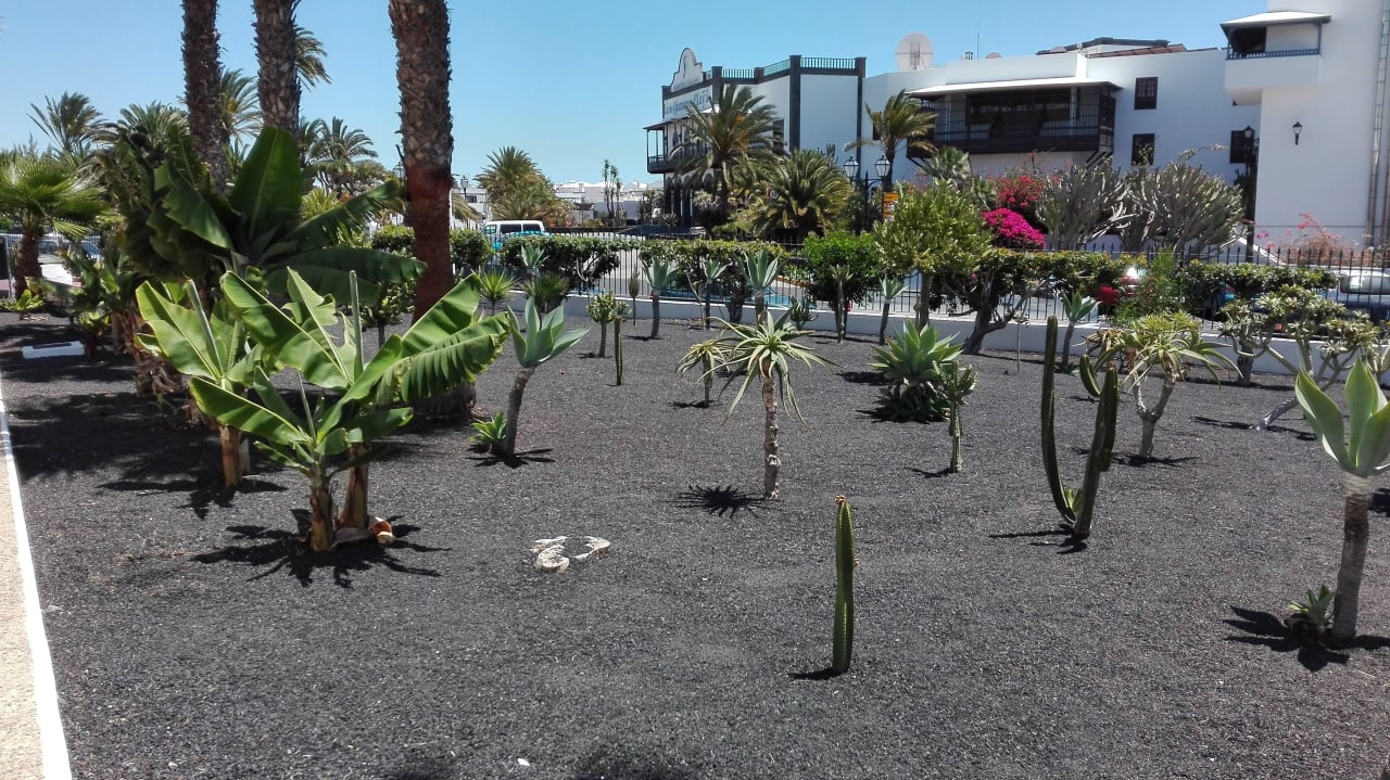 Ein Teil der Gartenanlage Hotel Floresta