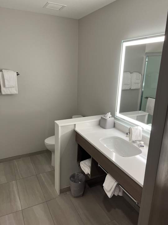 Zimmer Holiday Inn Express & Suites Ridgecrest - China Lake by IHG