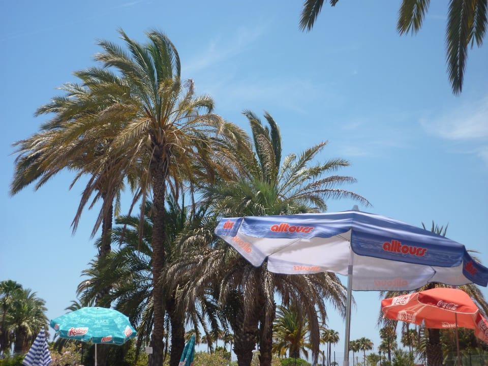 Alten und teilweise beschädigten Sonnenschirme! HL Miraflor Suites Hotel