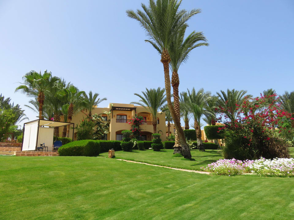 "lasst Bilder sprechen" Steigenberger Coraya Beach - Adults only