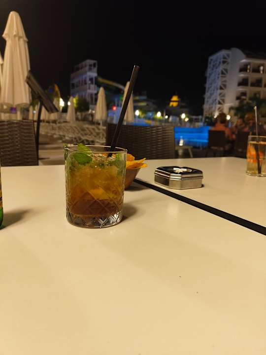 Gastro Seashell Vega