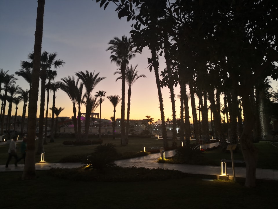 Gartenanlage Beach Albatros Resort