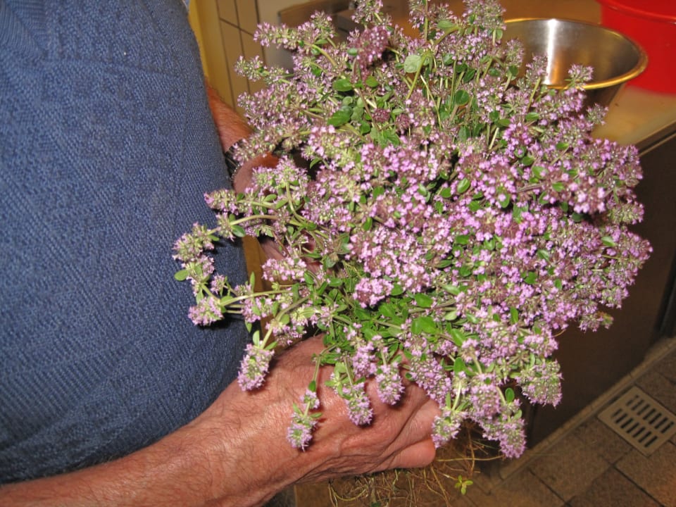 Sonstiges Zähringer Hof