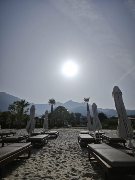 Strand Alexandra Golden Boutique - Adults only