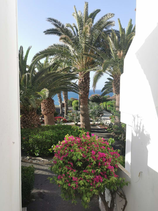 Ausblick Marina Playa Suite Hotel