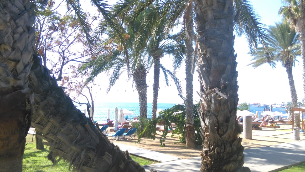 Blick vom Hotel zum Meer Hotel The Annabelle