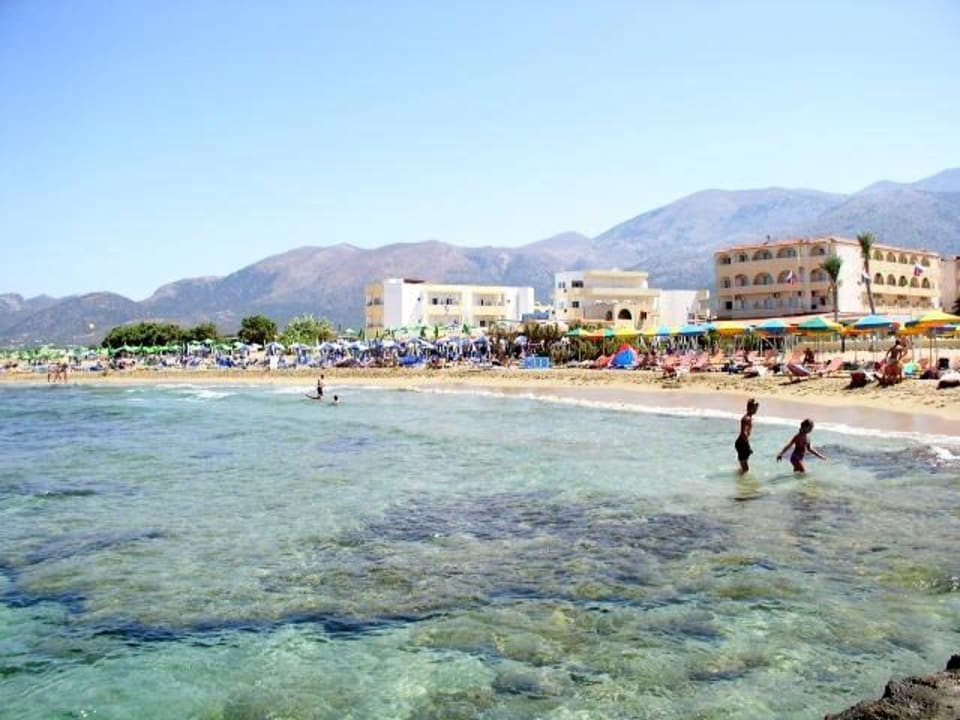 Hotel Phaedra Beach allsun Hotel Carolina Mare