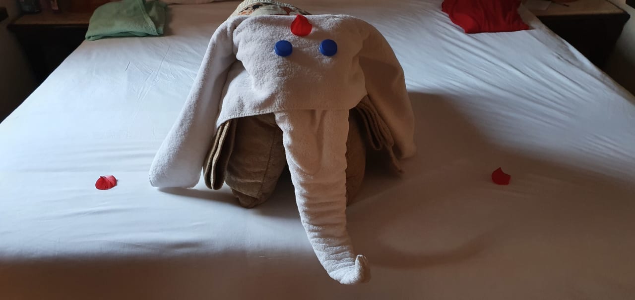 Zimmer Steigenberger Coraya Beach - Adults only