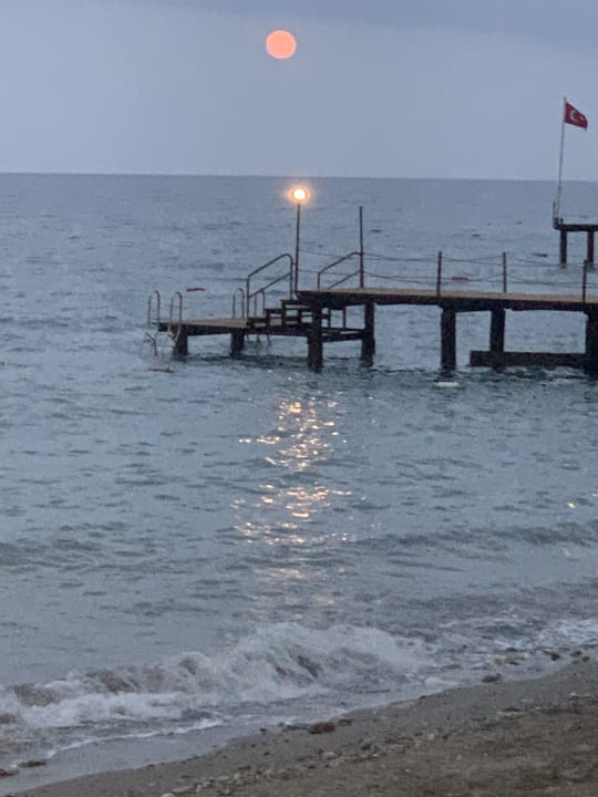 Strand Balmy Foresta