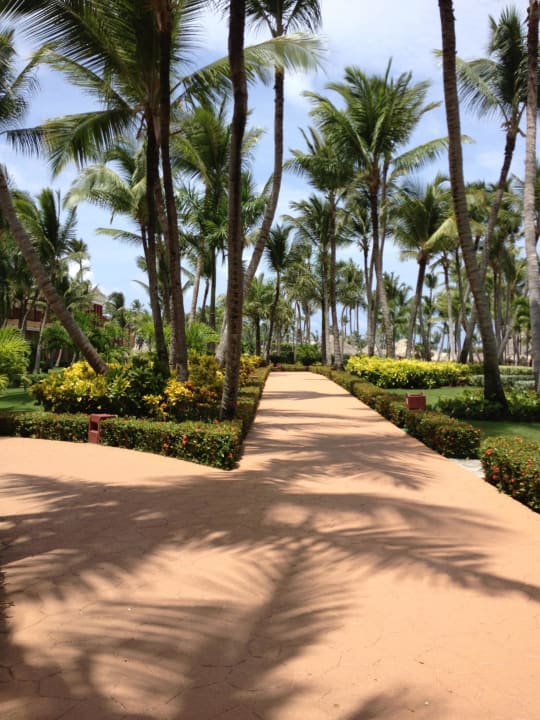 Garten Iberostar Waves Punta Cana