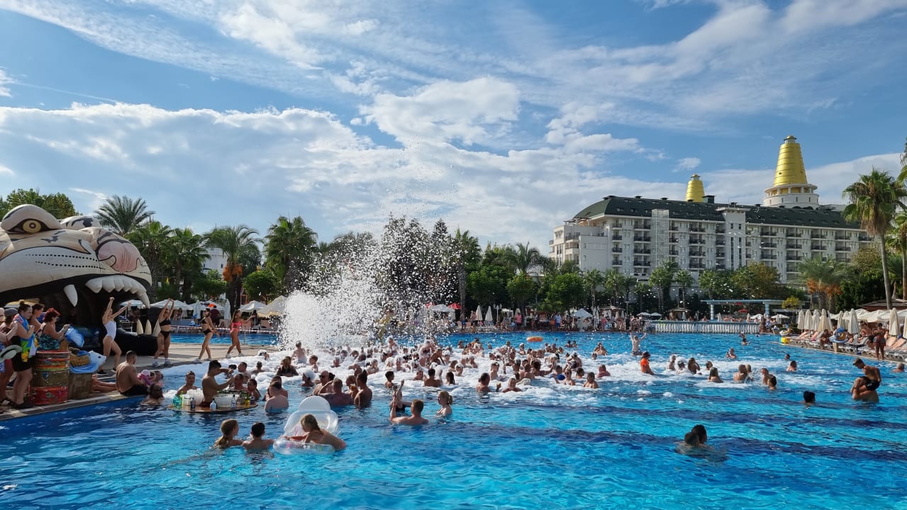 Pool Hotel Delphin Imperial