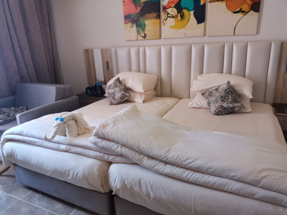 Zimmer Pickalbatros Laguna Vista Hotel