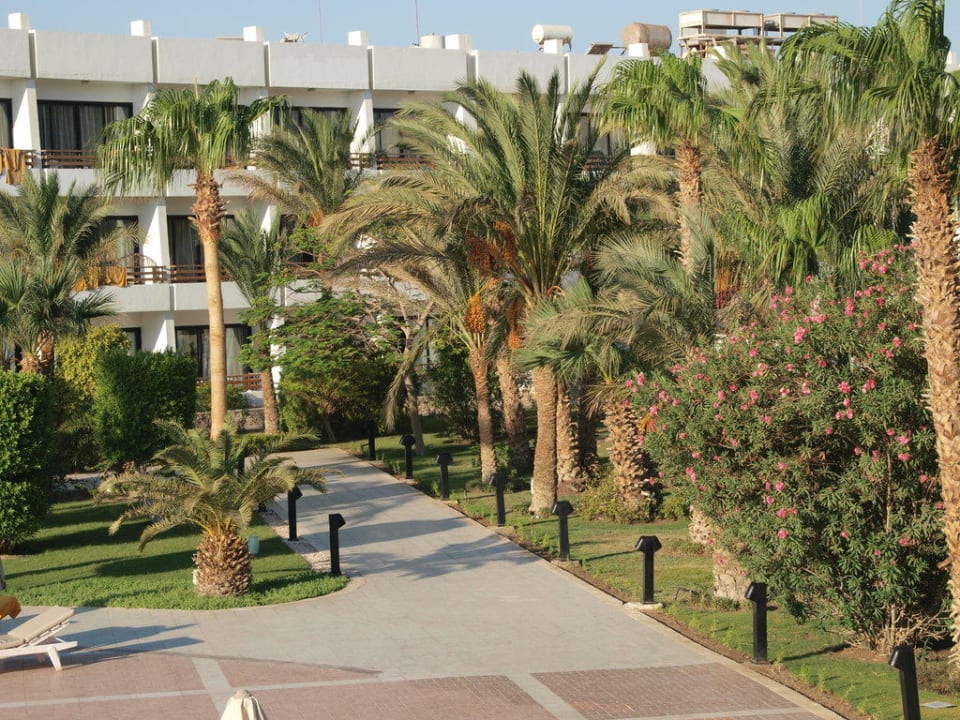 Gartenanlage mit Außenansicht The Grand Hotel Hurghada