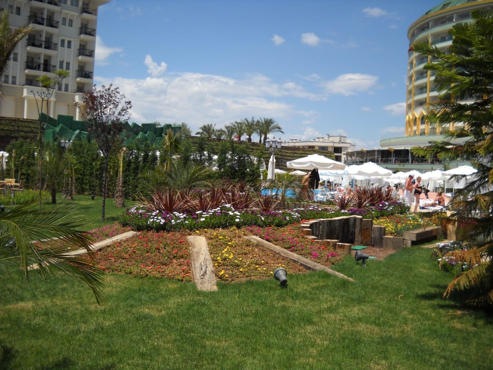 Территория Hotel Delphin Imperial