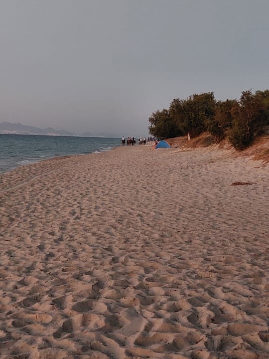 Strand Summer Village of Hippokrates - Adults only