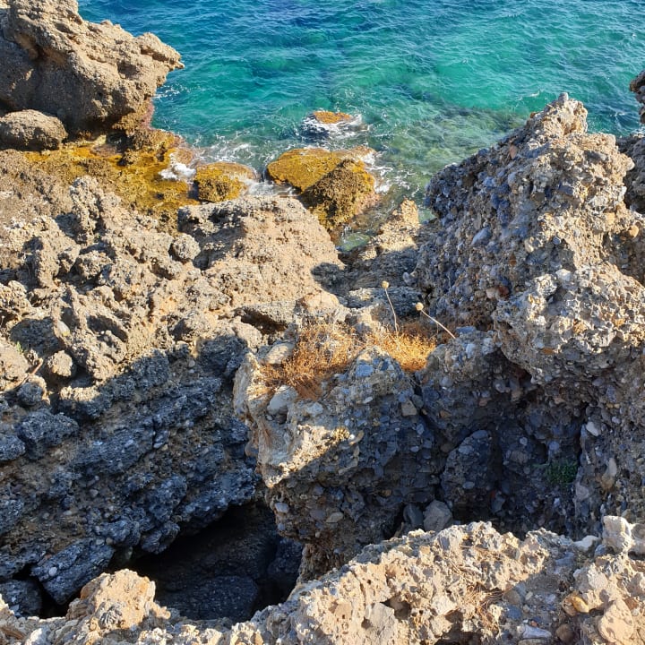 Ausblick Hotel Gardenia Beach