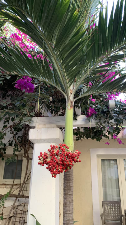 Sonstiges VOI Praia De Chaves Resort