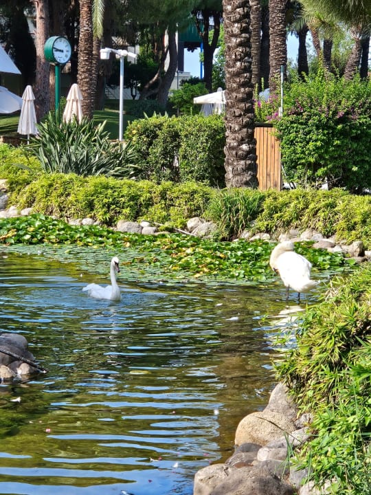 Gartenanlage IC Hotels Green Palace & Villas