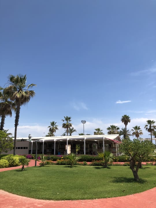 Gartenanlage Hotel Miracle Resort