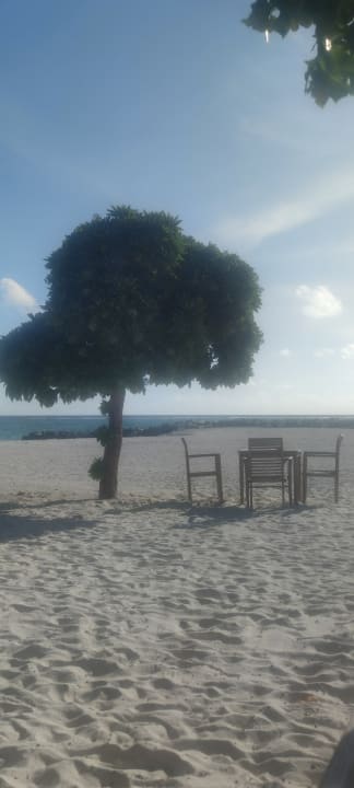 Strand Fihalhohi Maldives