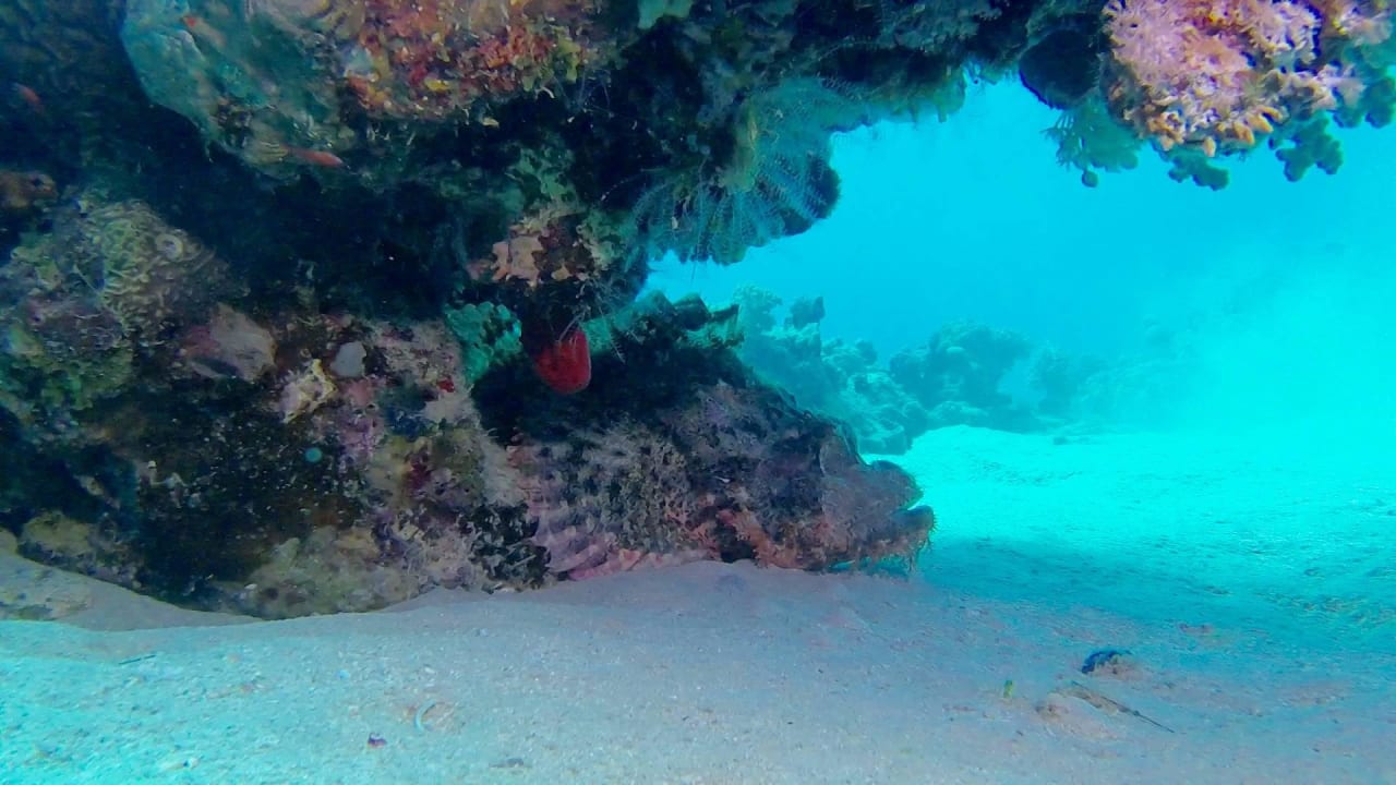 Good Snorkling Makadi Spa - Adults only