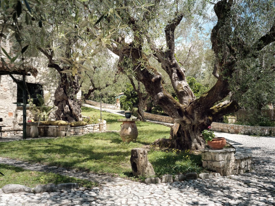 Gartenanlage Hotel Leeda's Village