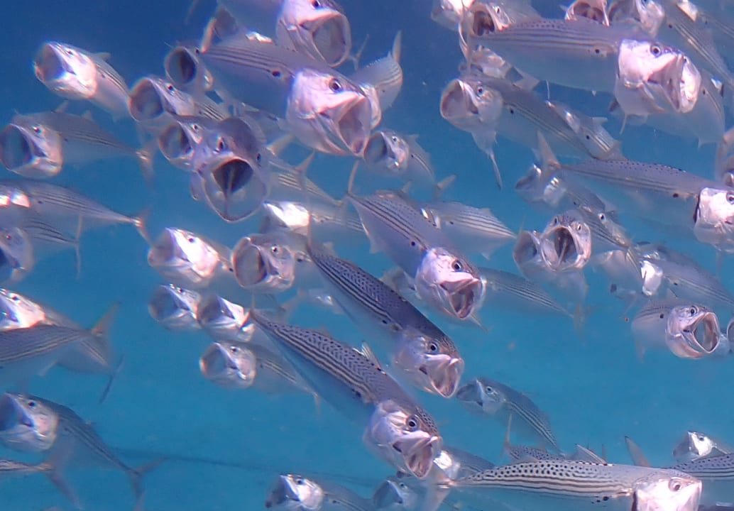 Sport & Freizeit Utopia Beach Club