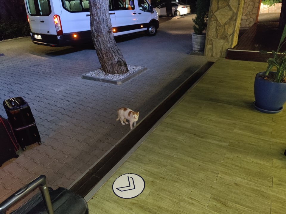 Sonstiges TUI BLUE Seno - Adults Only