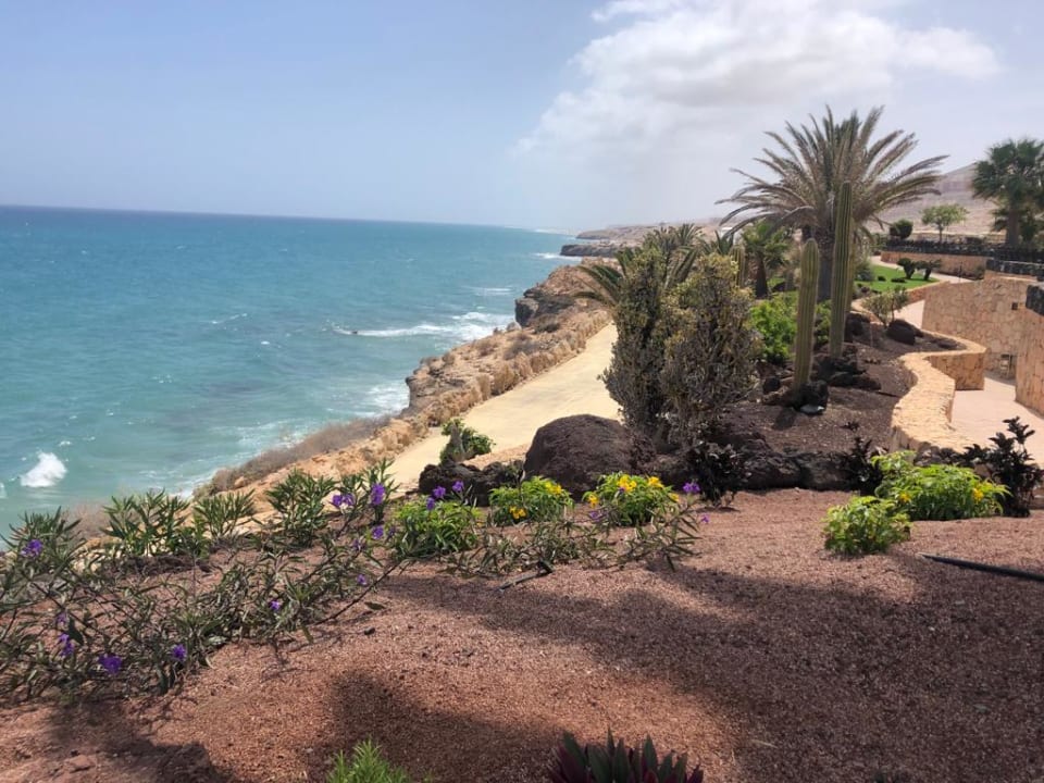 Gartenanlage R2 Pajara Beach