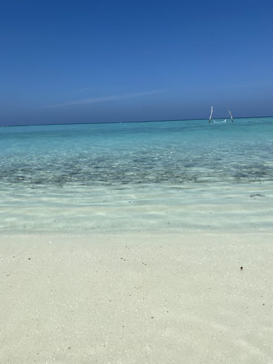 Strand Summer Island Maldives