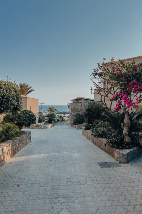 Gartenanlage Nana Golden Beach