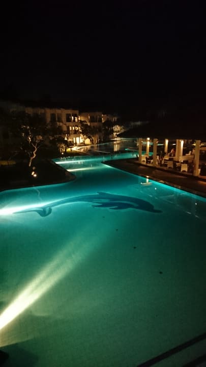 Pool Club Hotel Dolphin